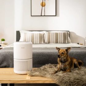Kép 12/12 - Levoit Core 300 Smart Légtisztító Core 300S